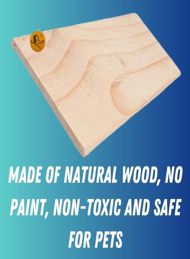 Sage Square Rectangle Natural Wood Platform 12"x4.5" - A Perfect Perch and Playground for Your Feathered Friend,Promote Physical and Mental Well-Being, Create a Natural Habitat for Your Beloved Bird - Image 4